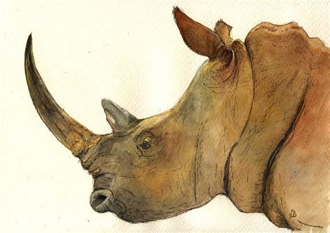 White rhino head study Painting by Juan Bosco