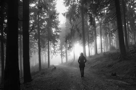 Fotografieren bei schlechtem Wetter 7 Ideen für gigantische Fotos