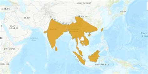 Distribution Range Of Sambar Rusa Unicolor Map Source Iucn Red List