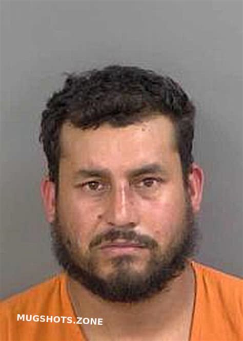 Cano Rafael Lara Collier County Mugshots Zone