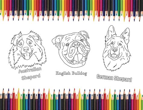 23 Dog Breeds Coloring Pages, Printable Kids Coloring Pages, A-Z Dog ...