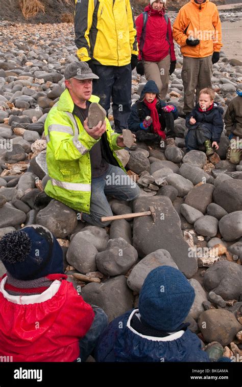 Fossil Hunting On Lyme Regis Beach On The Jurassic Coast Dorset Uk