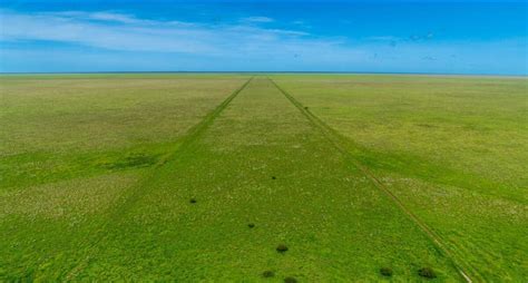 Outstanding Cattle Station For Sale Northern Territory