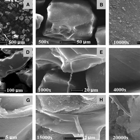 Sem Micrographs Of Pure Silica Gel Particles Ac And Silica Gel