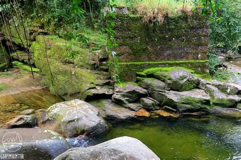 Ment Aut Pol Roz S Kirekeszt S Parque Nacional Serra Dos Rg Os