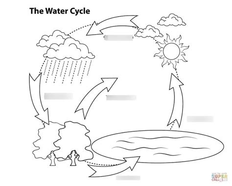 The Water Cycle Diagram | Quizlet