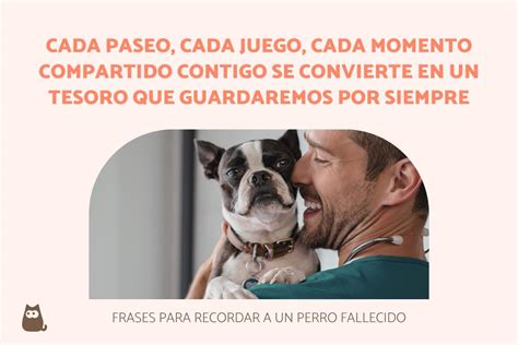 Frases Para Perros Fallecidos Bonitas Y Emotivas