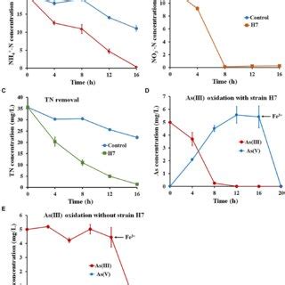 Simultaneous nitrification-denitrification and As(III) oxidation of ...