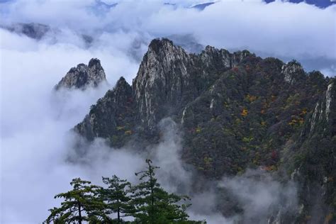 小伙们约起来，中秋节送！送！送门票！老君山景区等你放肆来玩！意假期