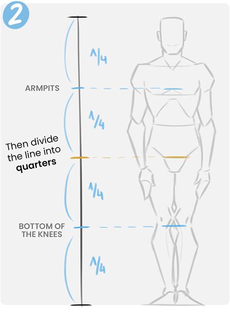 ZEPHY | Drawing the Human Body: Getting Proportions Right