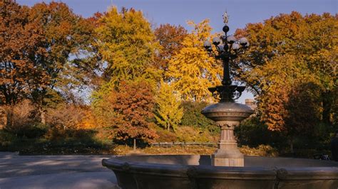 ¿qué Edificio Puede Contemplar Todo El Central Park