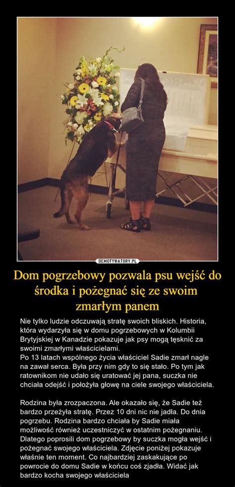 Dom pogrzebowy pozwala psu wejść do środka i pożegnać się ze swoim