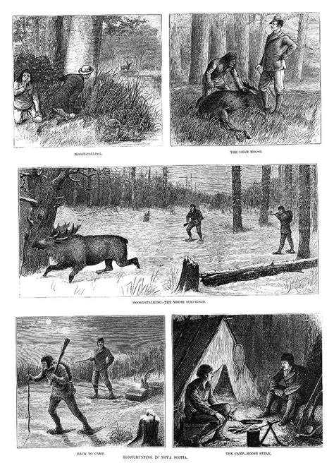 Canada Moose Hunting 1878 Painting By Granger