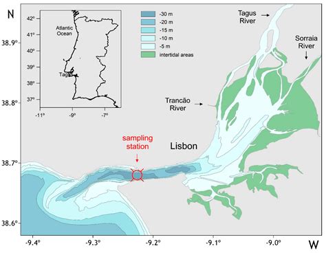 Estuary Biome Map