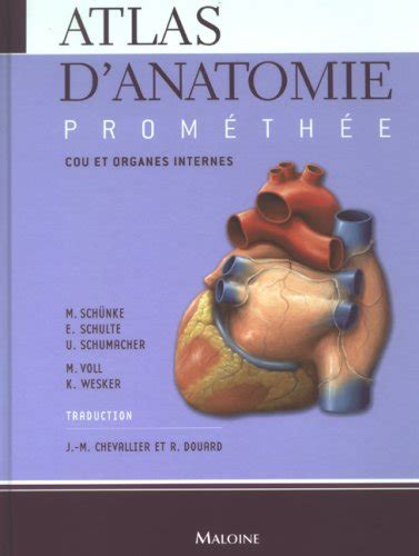 Atlas D Anatomie Prom Th E Tome Cou Et Organes Internes Sch Nke