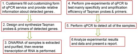 Taqman probe qPCR Method