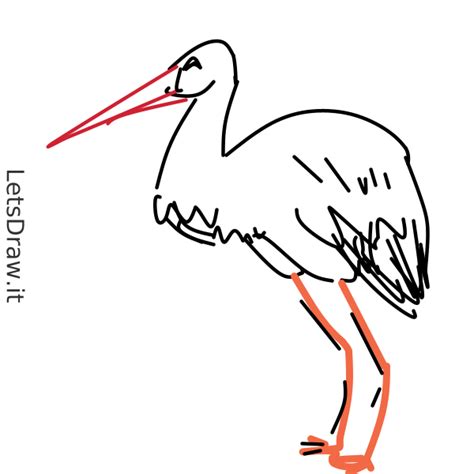 how to draw a stork