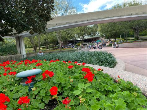 Beloved Innoventions Area And Original The Land Pavilion Background