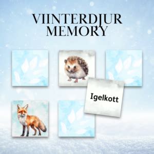 Vinterdjuren Memory Skolmagi Nu