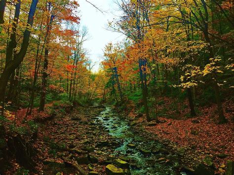 Morning hike @ Albion Falls Hamilton #albionfalls #hamont #gallivanting ...