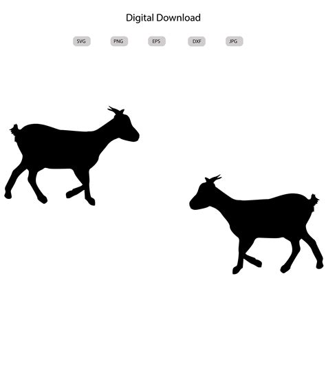 Nigerian Dwarf Goat Svg Nigerian Dwarf Goat Silhouette Livestock Svg