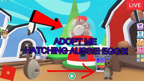 🔴live🔴playing Adopt Me Hatching Aussie Eggs Youtube