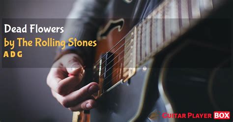 Dead Flowers. The Rolling Stones. Chords. GuitarPlayerBox