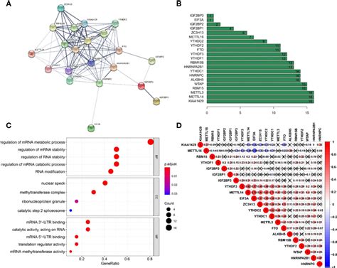 Frontiers Comprehensive Characterization Of Tumor Microenvironment