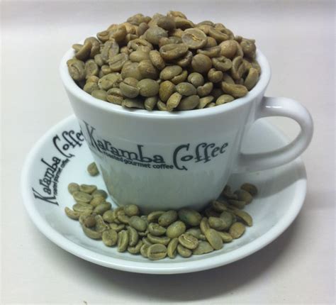 Green Arabica Coffee Beans Colombia Supremo Ay Karamba