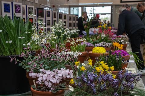 Ags South Wales Show Trophies Alpine Garden Society