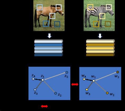 Concept Of The Proposed Method Decoupled Contrastive Learning Forms Download Scientific