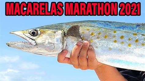 Pesca De Macarela Marathon Coordenadas Y Contactos Youtube