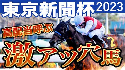 【東京新聞杯2023】高配当を呼ぶ激アツ穴馬はこれだ！前残り、枠順、調教、3つの買い材料！ Youtube