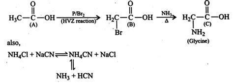 An acid A which is an important constituent of vinegar, on reaction with red P and Br 2 gives a ...