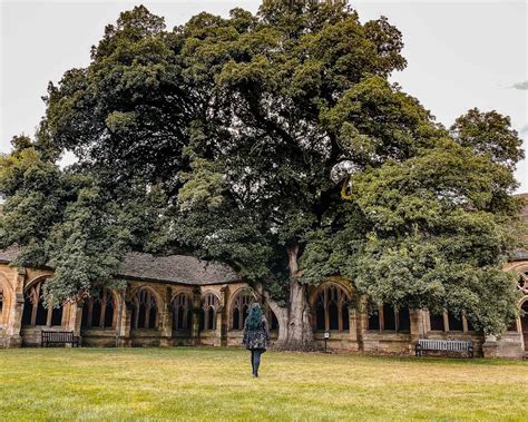 Magical Oxford Harry Potter Locations You Must Visit