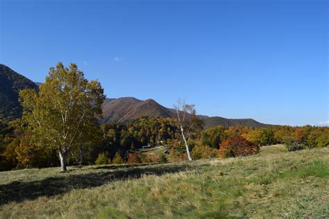 宮田高原＆黒川渓谷、秋の紅葉真っ盛りです♪ 信州みやだ観光ガイド 長野県宮田村・木曽駒ヶ岳の観光情報サイト