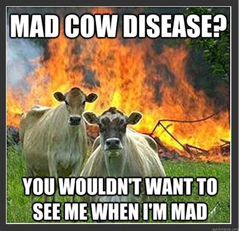 Mad Cow Disease You Wouldnt Want To See Me When Im Mad Evil Cows