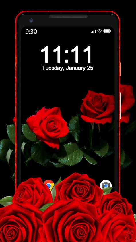 Android I In Red Rose Apus Live Wallpaper Ndir