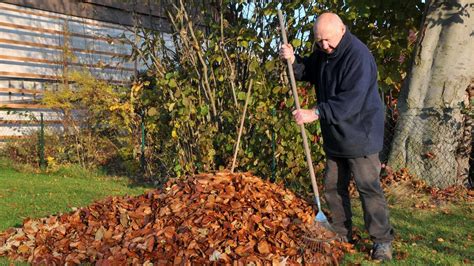 Gartenarbeit Vor Dem Winter Jetzt Das Laub Entfernen