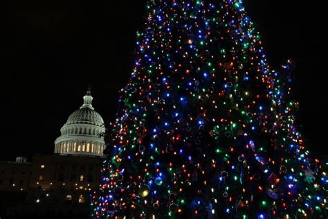 national christmas tree lighting 2021 washington dc - Great Bear E-Zine ...