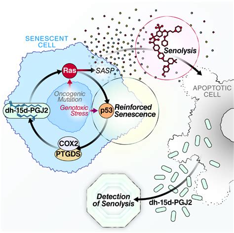 The First Non Invasive Biomarker To Track And Verify Efficacy Of