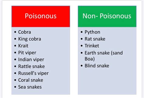 Poisonous And Non Poisonous Snakes By Dr Bimal Sharma By Dr Bimal Images