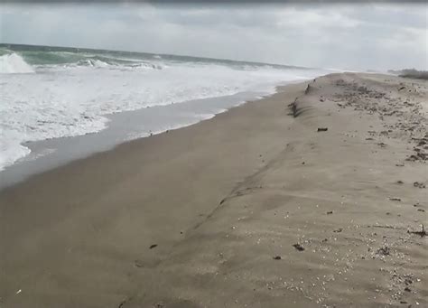 The Treasure Beaches Report Direct From Floridas Treasure Coast 1314 Report Tc Wind