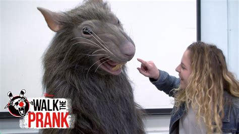 Rat | Walk the Prank | Disney XD - YouTube