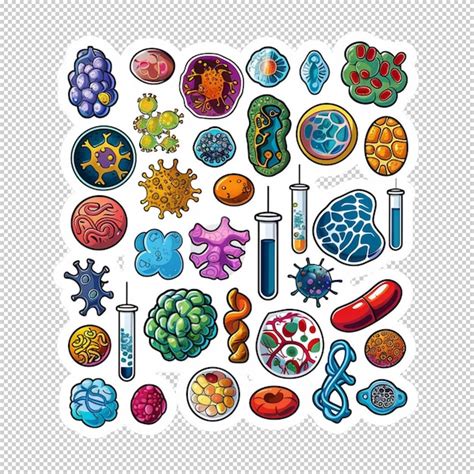 Set Of Bacteria Germs And Viruses Cell Organelles Sticker Isolated On