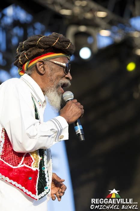 Photos Bunny Wailer In Pessac France Domaine Universitaire