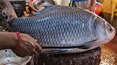 Incredible Giant Katla Fish Cutting In Fish Market Fish Cutting