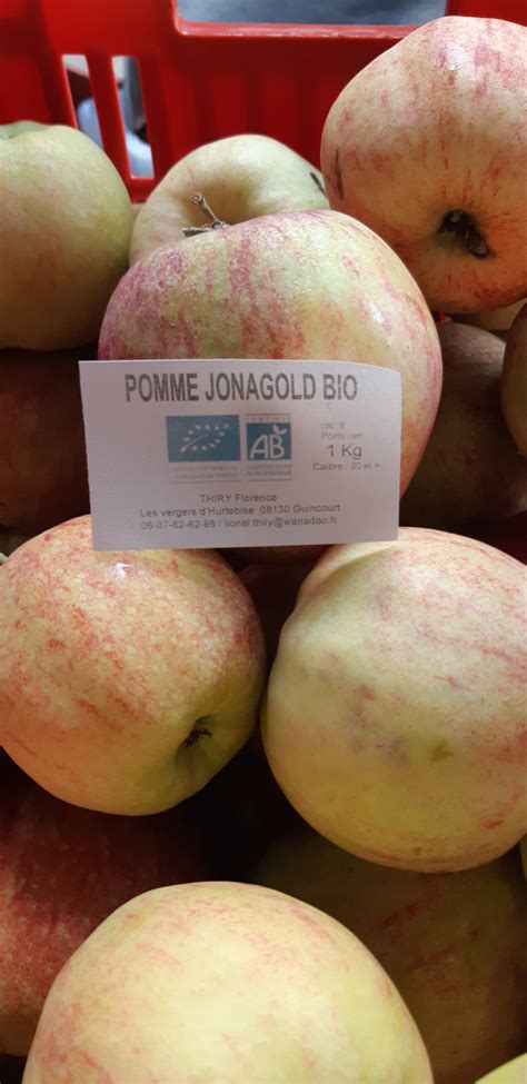 Pomme Jonagold Bio 1 Kg 1 Kg Florence Thiry Locavor Fr