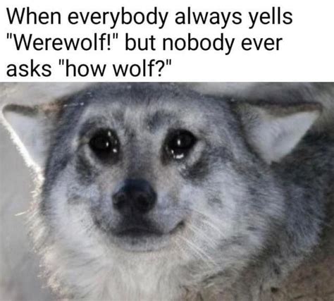 How Wolf Nobody Asks How Is X Know Your Meme