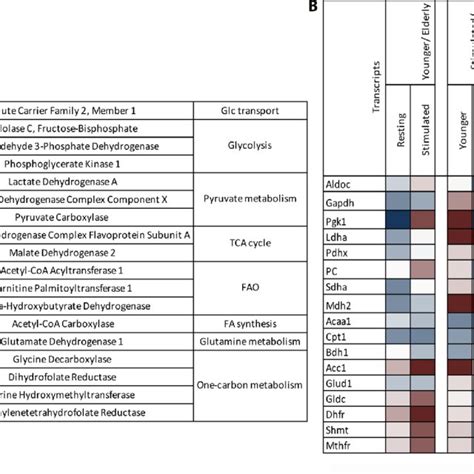 Gene Expression Profiles Of Naïve B Cells Undergoing Stimulation Naïve